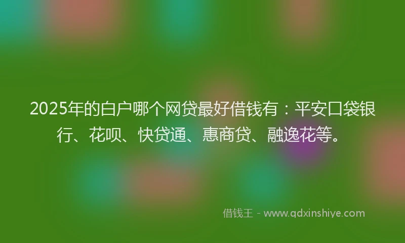2025年的白户哪个网贷最好借钱有：平安口袋银行、花呗、快贷通、惠商贷、融逸花等。