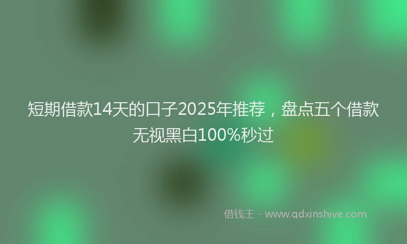 短期借款14天的口子2025年推荐，盘点五个借款无视黑白100%秒过