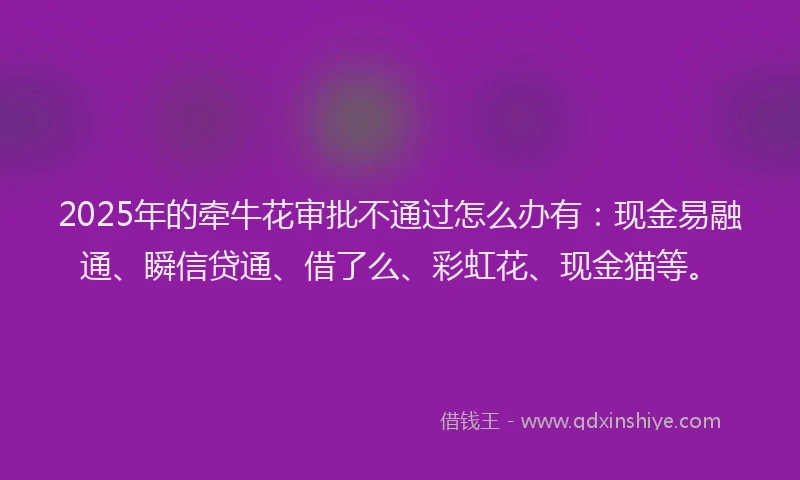 2025年的牵牛花审批不通过怎么办有：现金易融通、瞬信贷通、借了么、彩虹花、现金猫等。