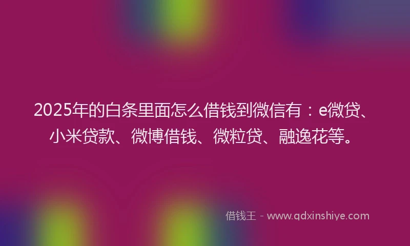 2025年的白条里面怎么借钱到微信有：e微贷、小米贷款、微博借钱、微粒贷、融逸花等。