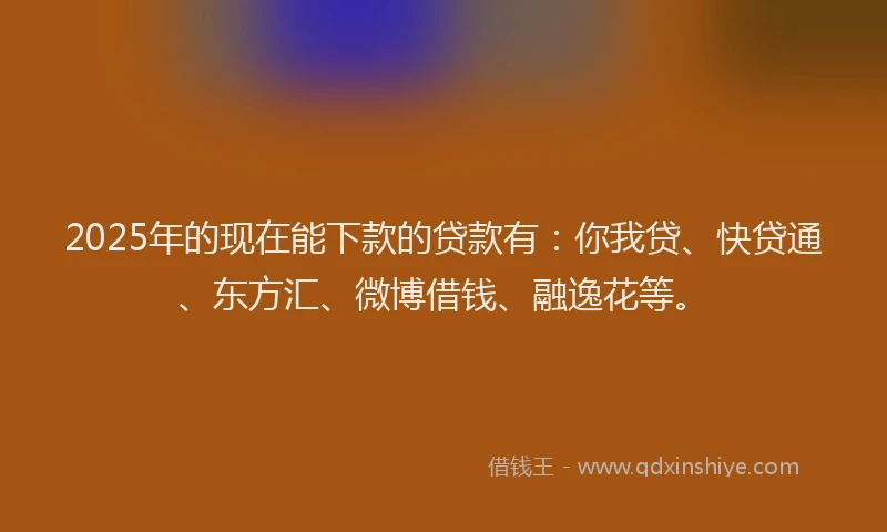 2025年的现在能下款的贷款有：你我贷、快贷通、东方汇、微博借钱、融逸花等。
