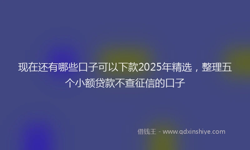 现在还有哪些口子可以下款2025年精选，整理五个小额贷款不查征信的口子