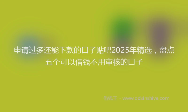 申请过多还能下款的口子贴吧2025年精选，盘点五个可以借钱不用审核的口子