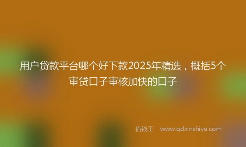 用户贷款平台哪个好下款2025年精选，概括5个审贷口子审核加快的口子