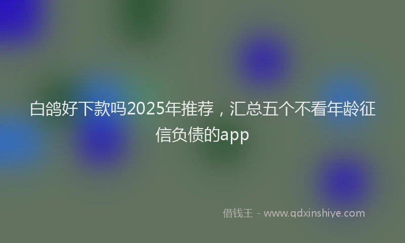白鸽好下款吗2025年推荐，汇总五个不看年龄征信负债的app