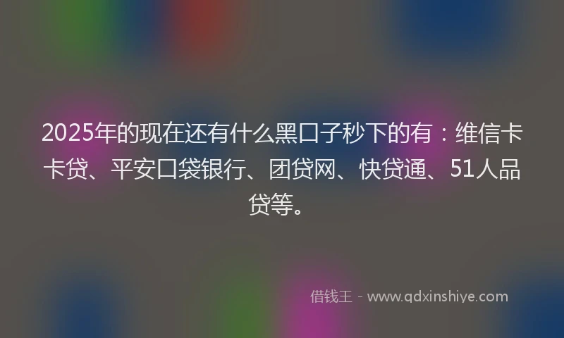 2025年的现在还有什么黑口子秒下的有：维信卡卡贷、平安口袋银行、团贷网、快贷通、51人品贷等。