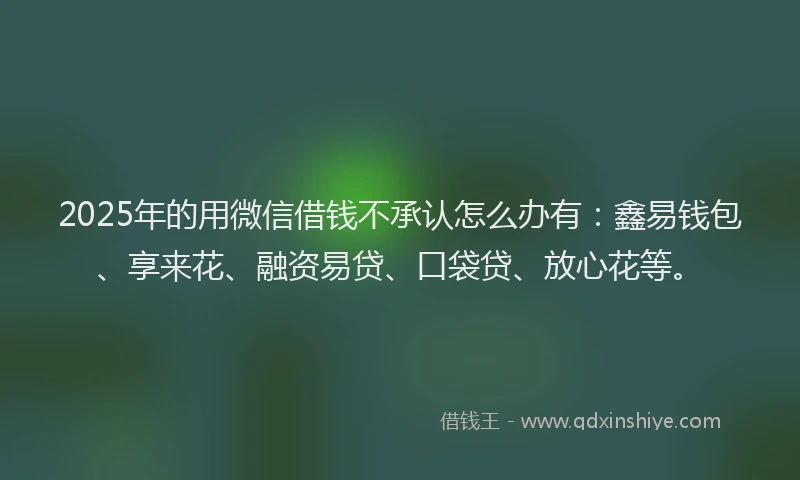2025年的用微信借钱不承认怎么办有：鑫易钱包、享来花、融资易贷、口袋贷、放心花等。