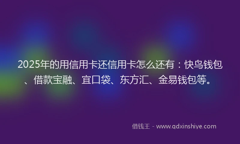 2025年的用信用卡还信用卡怎么还有：快鸟钱包、借款宝融、宜口袋、东方汇、金易钱包等。
