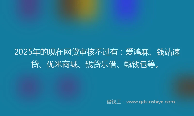 2025年的现在网贷审核不过有：爱鸿森、钱站速贷、优米商城、钱贷乐借、甄钱包等。
