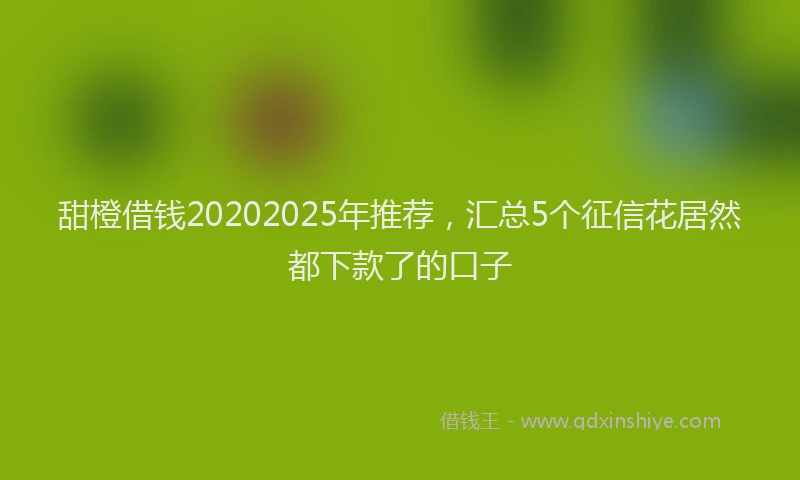 甜橙借钱20202025年推荐，汇总5个征信花居然都下款了的口子