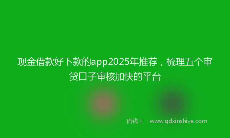 现金借款好下款的app2025年推荐，梳理五个审贷口子审核加快的平台