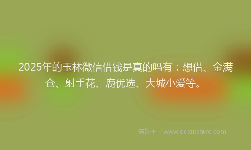 2025年的玉林微信借钱是真的吗有：想借、金满仓、射手花、鹿优选、大城小爱等。
