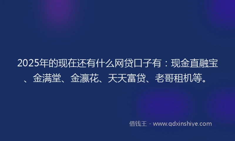 2025年的现在还有什么网贷口子有：现金直融宝、金满堂、金瀛花、天天富贷、老哥租机等。