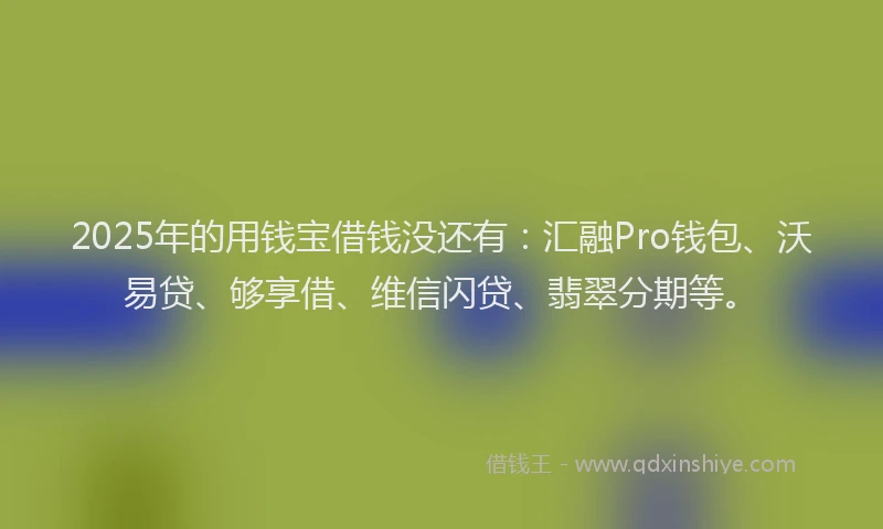 2025年的用钱宝借钱没还有：汇融Pro钱包、沃易贷、够享借、维信闪贷、翡翠分期等。