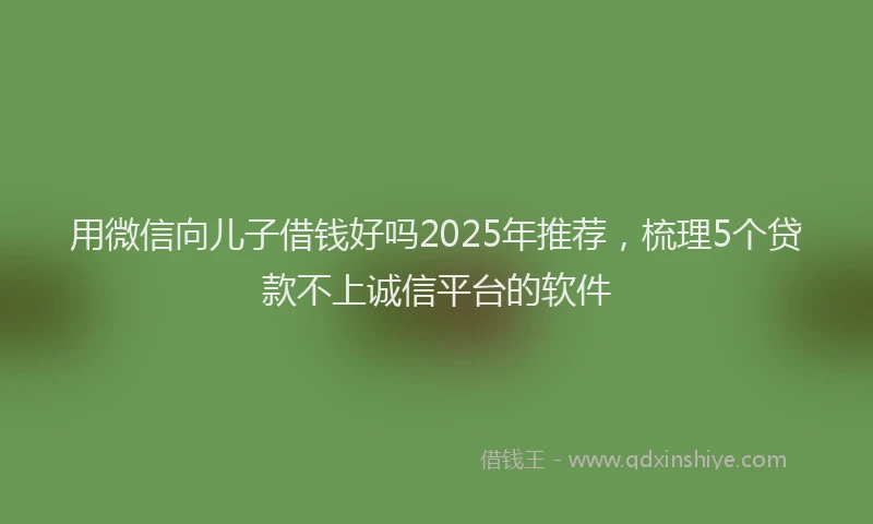 用微信向儿子借钱好吗2025年推荐，梳理5个贷款不上诚信平台的软件