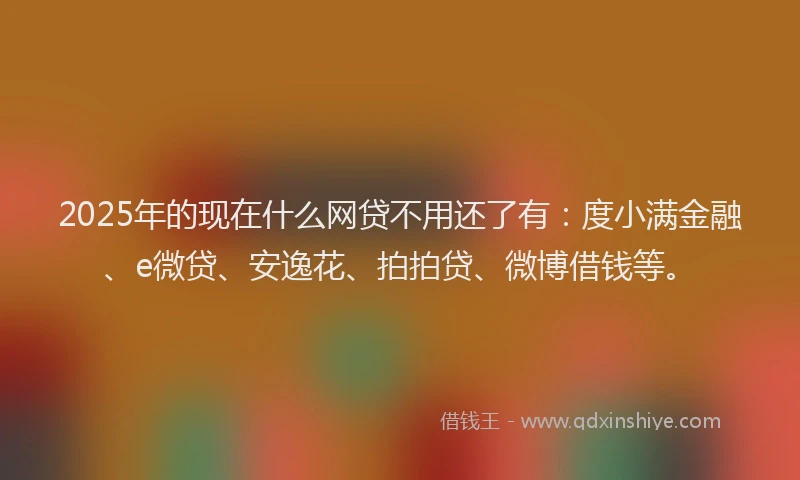 2025年的现在什么网贷不用还了有：度小满金融、e微贷、安逸花、拍拍贷、微博借钱等。
