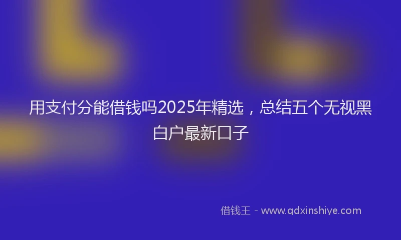 用支付分能借钱吗2025年精选，总结五个无视黑白户最新口子