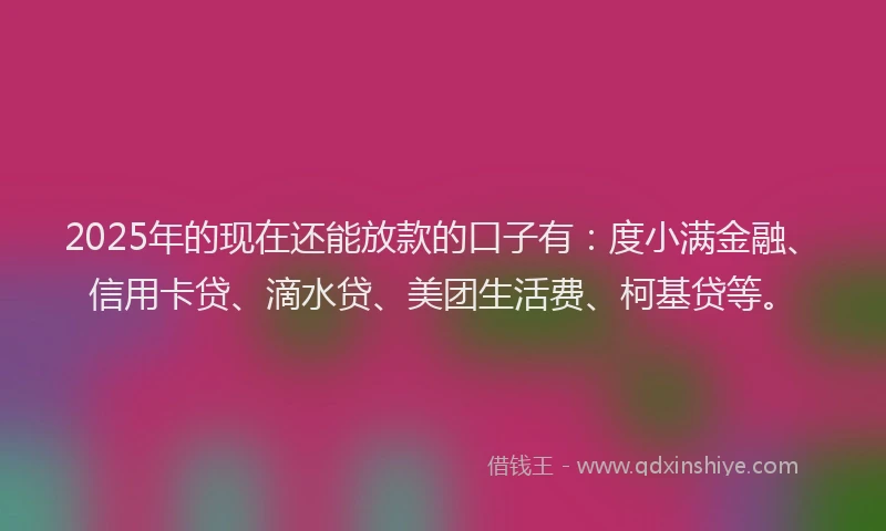 2025年的现在还能放款的口子有：度小满金融、信用卡贷、滴水贷、美团生活费、柯基贷等。