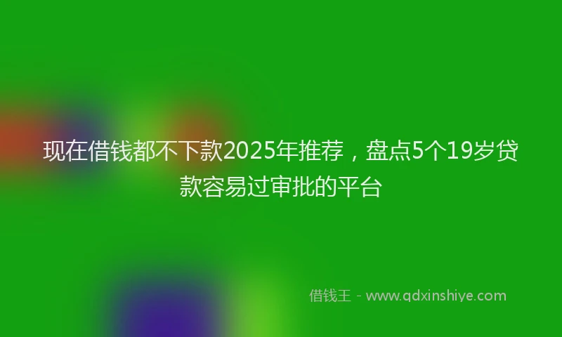 现在借钱都不下款2025年推荐，盘点5个19岁贷款容易过审批的平台