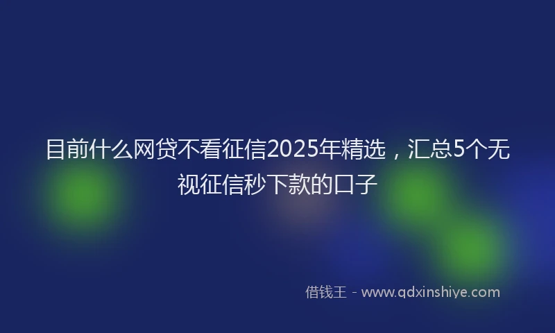 目前什么网贷不看征信2025年精选，汇总5个无视征信秒下款的口子