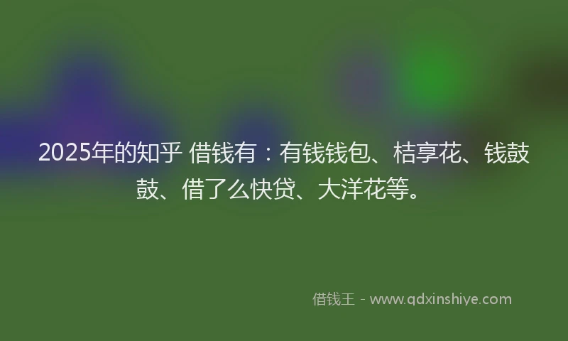 2025年的知乎 借钱有：有钱钱包、桔享花、钱鼓鼓、借了么快贷、大洋花等。