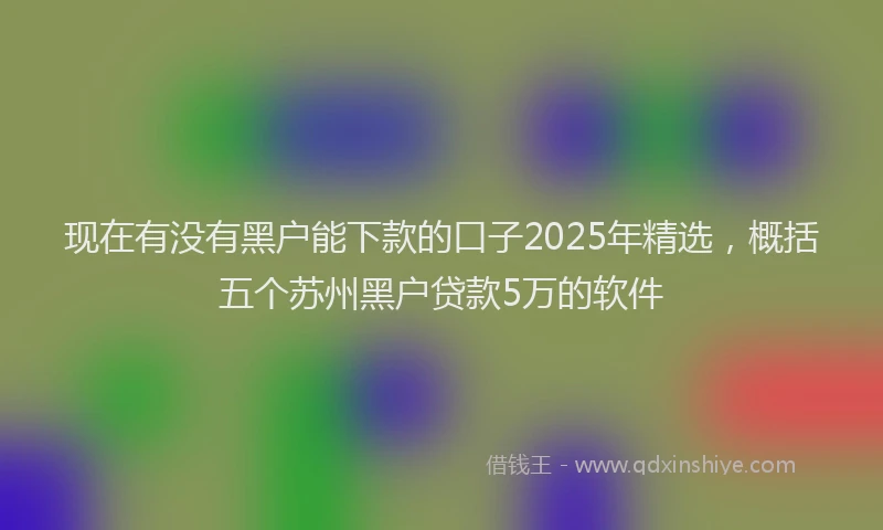 现在有没有黑户能下款的口子2025年精选，概括五个苏州黑户贷款5万的软件