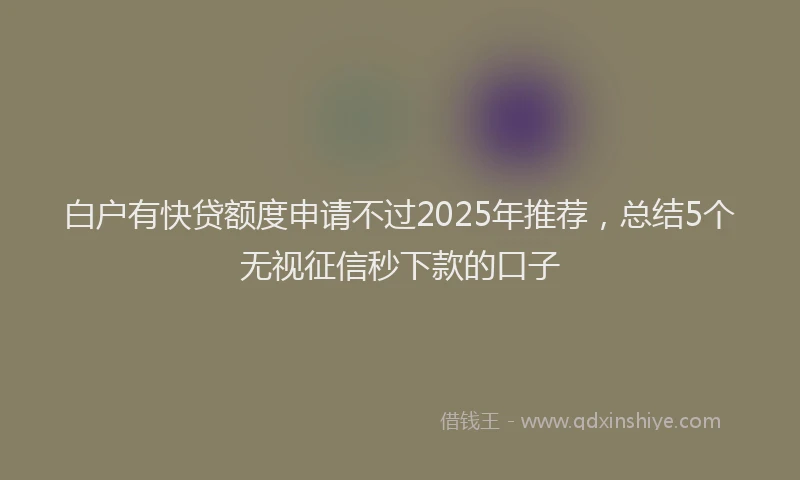 白户有快贷额度申请不过2025年推荐，总结5个无视征信秒下款的口子