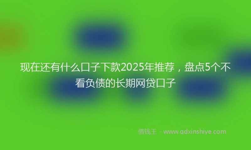 现在还有什么口子下款2025年推荐，盘点5个不看负债的长期网贷口子