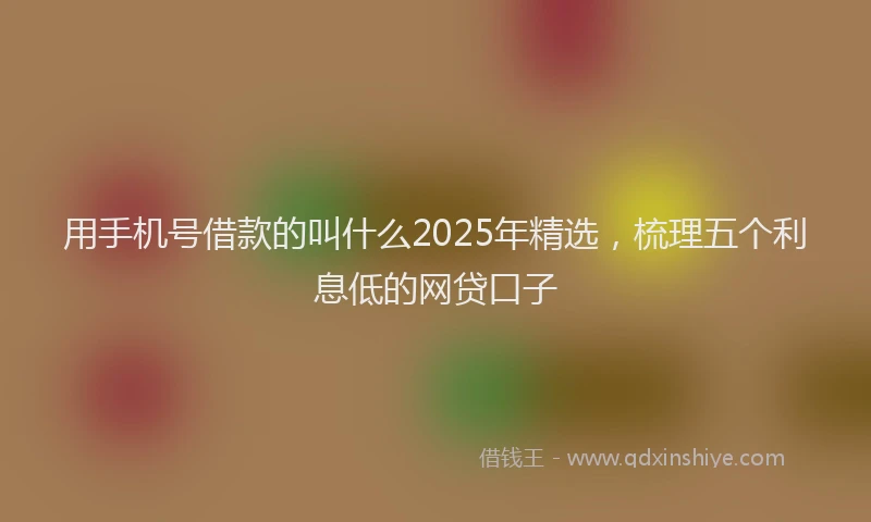 用手机号借款的叫什么2025年精选，梳理五个利息低的网贷口子