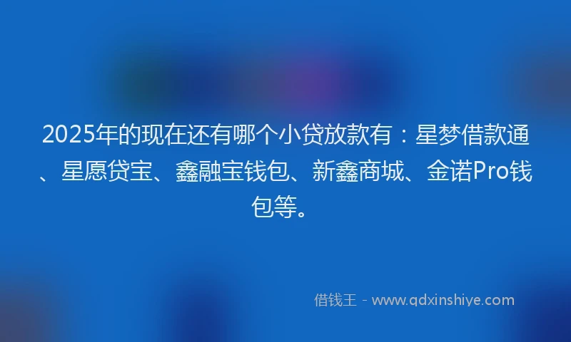 2025年的现在还有哪个小贷放款有：星梦借款通、星愿贷宝、鑫融宝钱包、新鑫商城、金诺Pro钱包等。