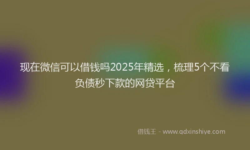现在微信可以借钱吗2025年精选，梳理5个不看负债秒下款的网贷平台