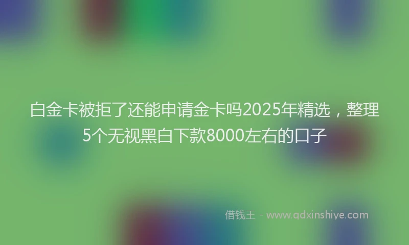 白金卡被拒了还能申请金卡吗2025年精选，整理5个无视黑白下款8000左右的口子
