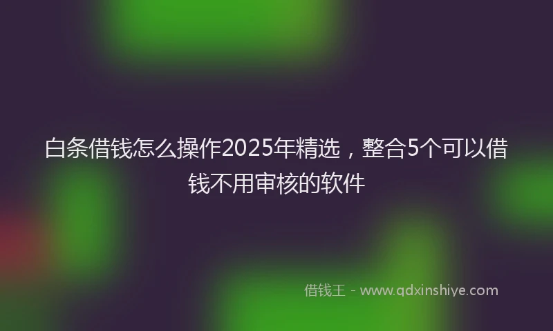 白条借钱怎么操作2025年精选，整合5个可以借钱不用审核的软件