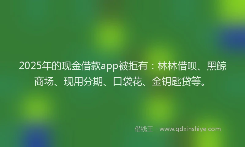 2025年的现金借款app被拒有：林林借呗、黑鲸商场、现用分期、口袋花、金钥匙贷等。