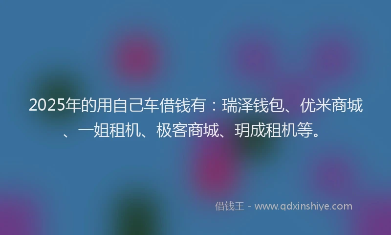 2025年的用自己车借钱有：瑞泽钱包、优米商城、一姐租机、极客商城、玥成租机等。