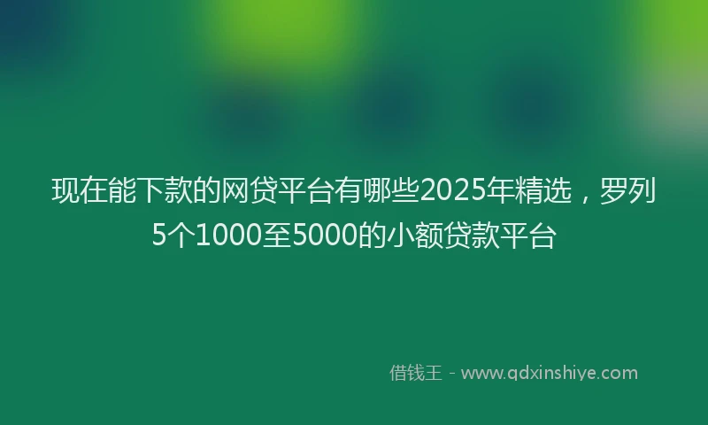 现在能下款的网贷平台有哪些2025年精选，罗列5个1000至5000的小额贷款平台