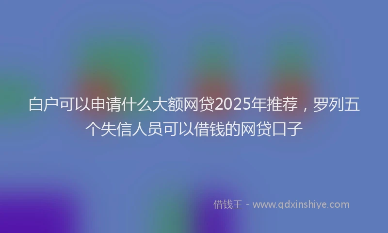 白户可以申请什么大额网贷2025年推荐，罗列五个失信人员可以借钱的网贷口子
