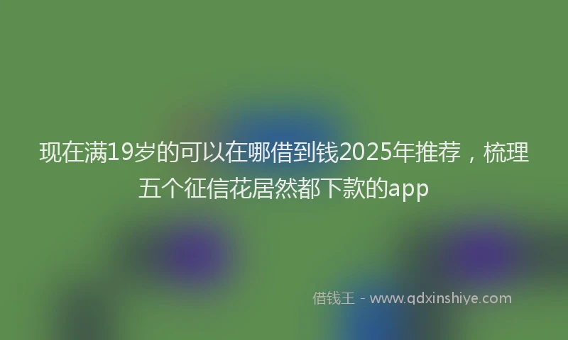 现在满19岁的可以在哪借到钱2025年推荐，梳理五个征信花居然都下款的app
