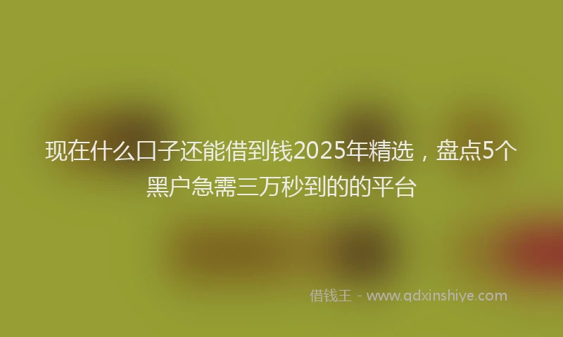 现在什么口子还能借到钱2025年精选，盘点5个黑户急需三万秒到的的平台