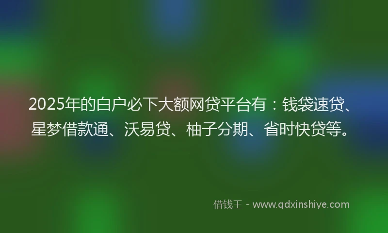 2025年的白户必下大额网贷平台有：钱袋速贷、星梦借款通、沃易贷、柚子分期、省时快贷等。