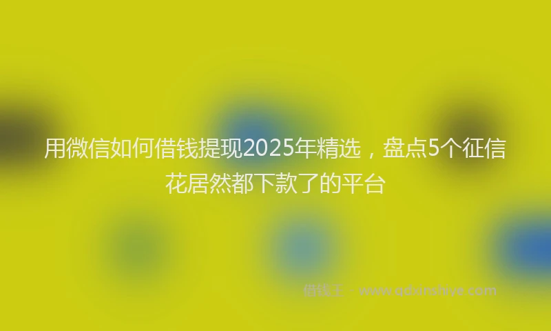 用微信如何借钱提现2025年精选，盘点5个征信花居然都下款了的平台