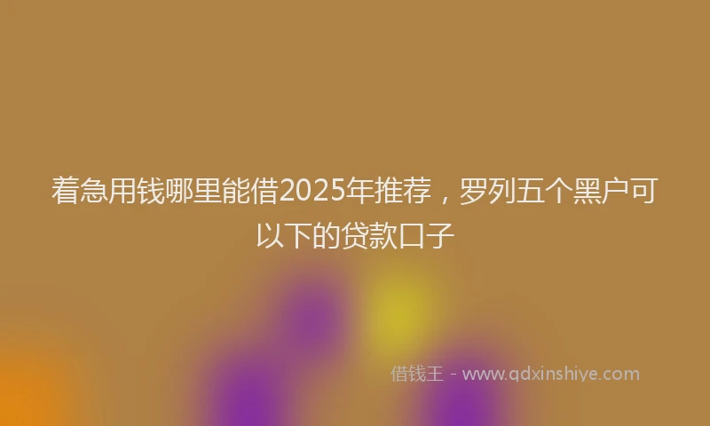 着急用钱哪里能借2025年推荐，罗列五个黑户可以下的贷款口子