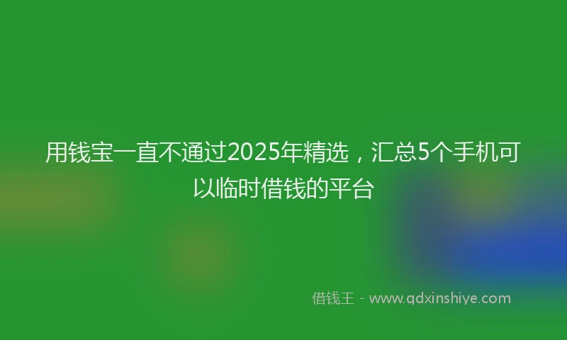 用钱宝一直不通过2025年精选，汇总5个手机可以临时借钱的平台