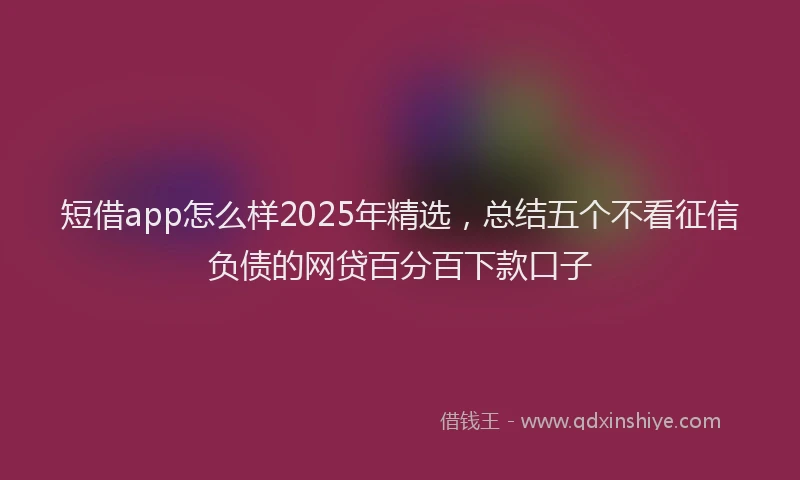 短借app怎么样2025年精选，总结五个不看征信负债的网贷百分百下款口子
