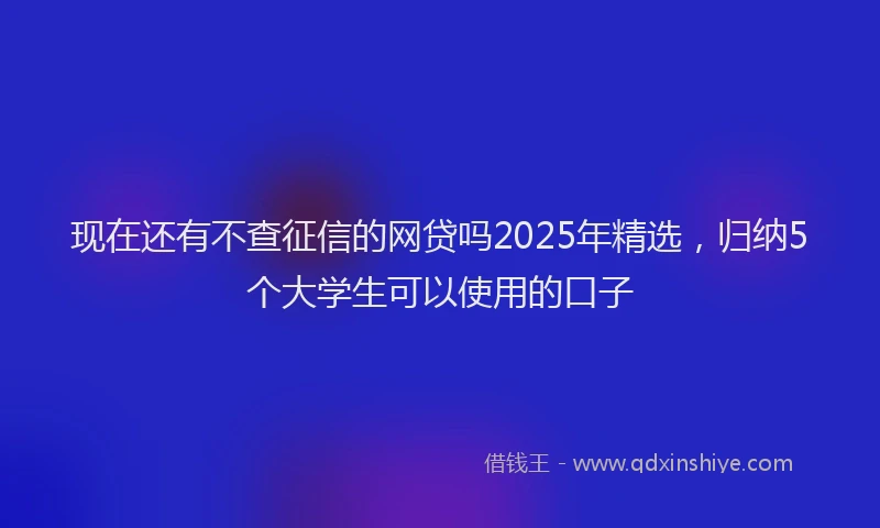 现在还有不查征信的网贷吗2025年精选，归纳5个大学生可以使用的口子