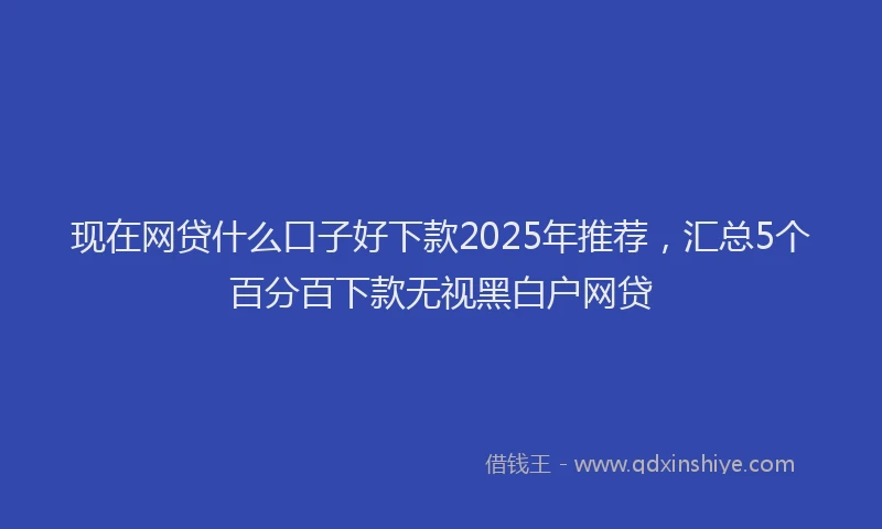现在网贷什么口子好下款2025年推荐，汇总5个百分百下款无视黑白户网贷