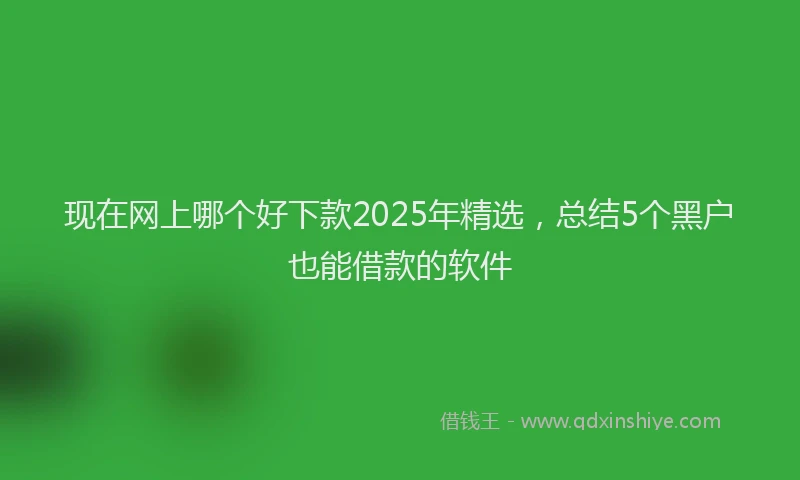现在网上哪个好下款2025年精选，总结5个黑户也能借款的软件