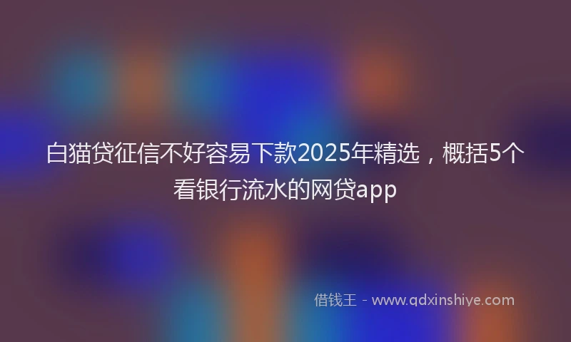 白猫贷征信不好容易下款2025年精选，概括5个看银行流水的网贷app