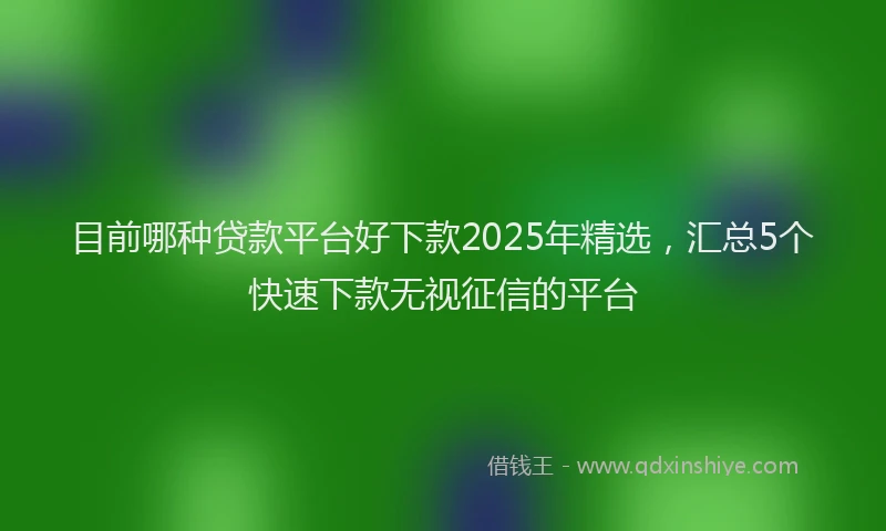 目前哪种贷款平台好下款2025年精选，汇总5个快速下款无视征信的平台