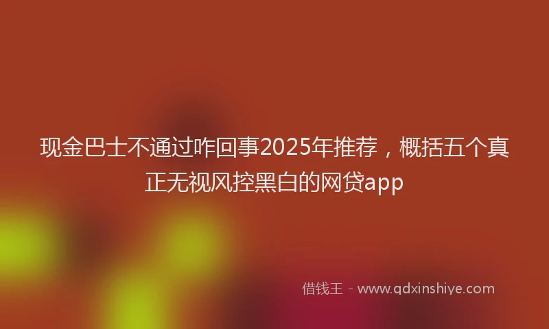 现金巴士不通过咋回事2025年推荐，概括五个真正无视风控黑白的网贷app